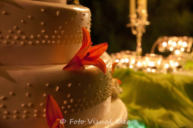Party: fotografia 12 di 27. Reportage di matrimonio di Michela Mazzorana.