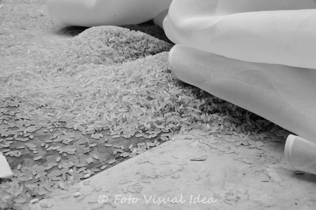 L'uscita: fotografia 5 di 15. Reportage di matrimonio di Michela Mazzorana.